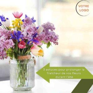 types de publications Instagram